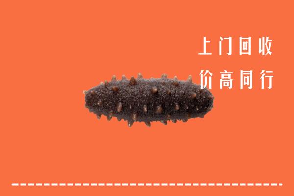 高价求购：隰县回收海参