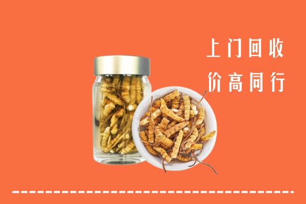 隰县回收冬虫夏草
